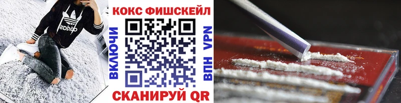 Cocaine Fish Scale  где купить наркотик  Кашин 