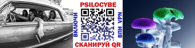 Галлюциногенные грибы GOLDEN TEACHER  Кашин 